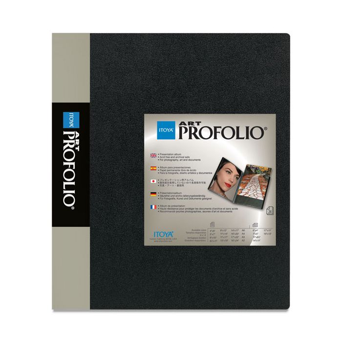 11 x 14 Profolio Archive-All Storage Box