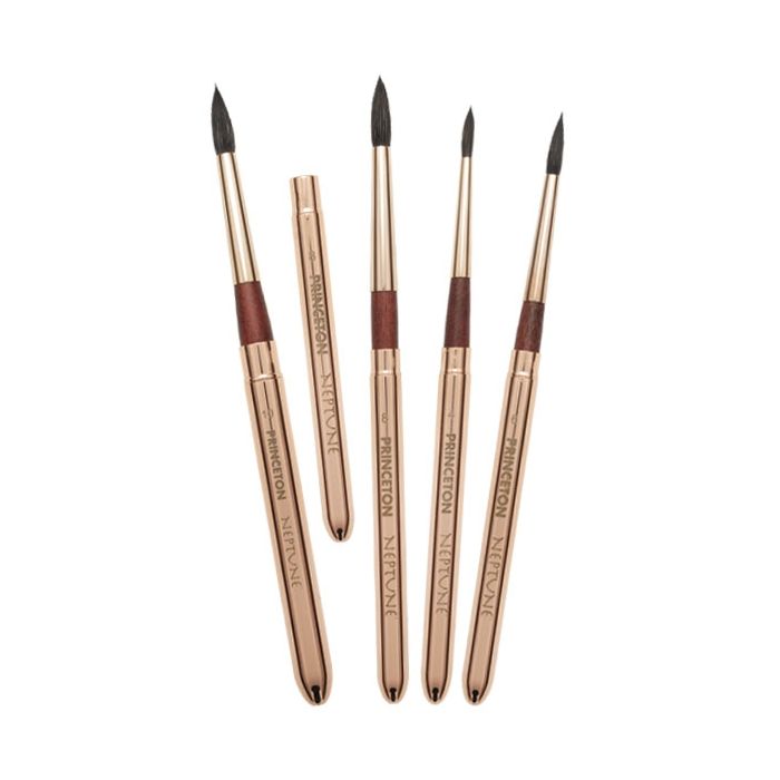 princeton travel brushes