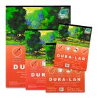 Dura-Lar Wet Media Film Pad - 9" x 12", 12 Sheets